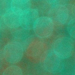 Bokeh-426